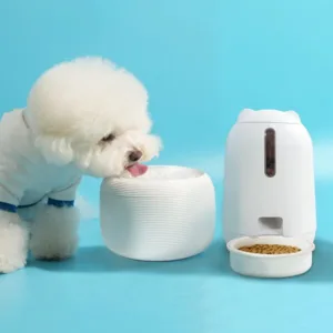 초대박할인 강아지정수기 추천 상품 10