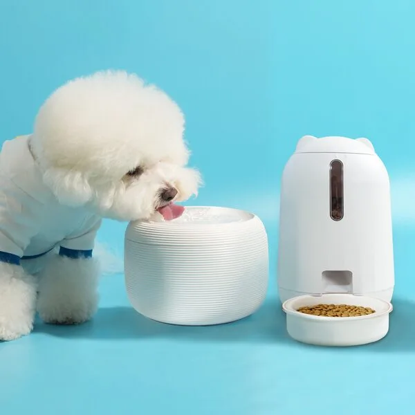 초대박할인 강아지정수기 추천 상품 10