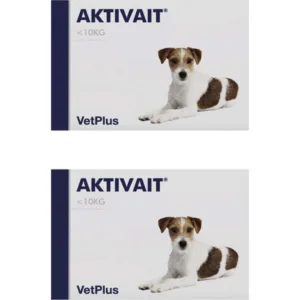 역대급할인 액티베이트 추천 랭킹 10