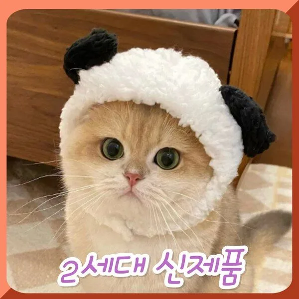 초대박세일 강아지겨울모자 HOT 10