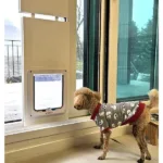 베란다펫도어 가성비 꿀템