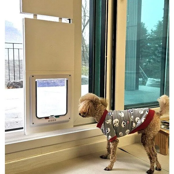 베란다펫도어 가성비 꿀템