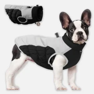 중형견패딩 인기짱 꿀템