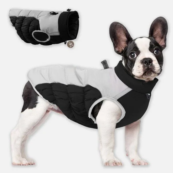 중형견패딩 인기짱 꿀템