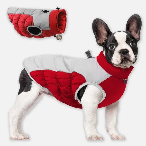 중형견패딩 완전대박상품