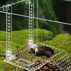 2024 거북이쉼터 TOP 10