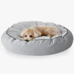 애견방석 특가 꿀템