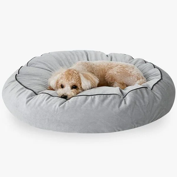 애견방석 특가 꿀템