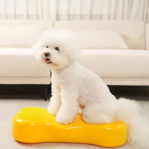 강아지짐볼 특_가