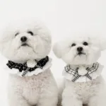 나만없어! 꿀템 강아지케이프  10