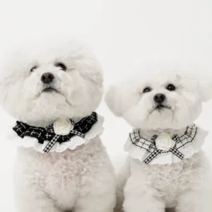 나만없어! 꿀템 강아지케이프  10