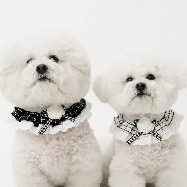 나만없어! 꿀템 강아지케이프 10 1 바사바사 강아지 케이프 2종 세트, 1세트, 블랙+화이트