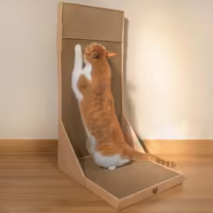 쇼킹세일 고양이수직스크래쳐 TOP 10