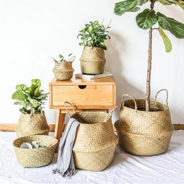 최저특가 해초바구니  10