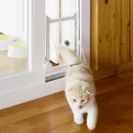 착한가격 맞나요? 베란다펫도어 TOP 10