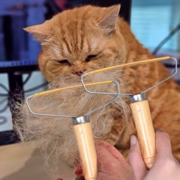 믿고쓰는 제품 고양이털제거기 BEST 10