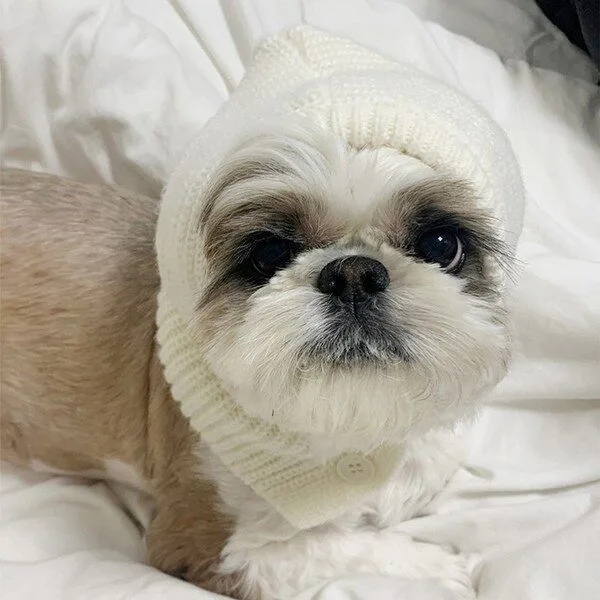 강아지겨울모자 할인