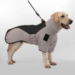 대형견겨울옷 꿀팁~