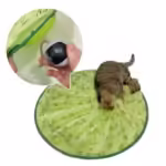 고양이자동장난감 초특가세일