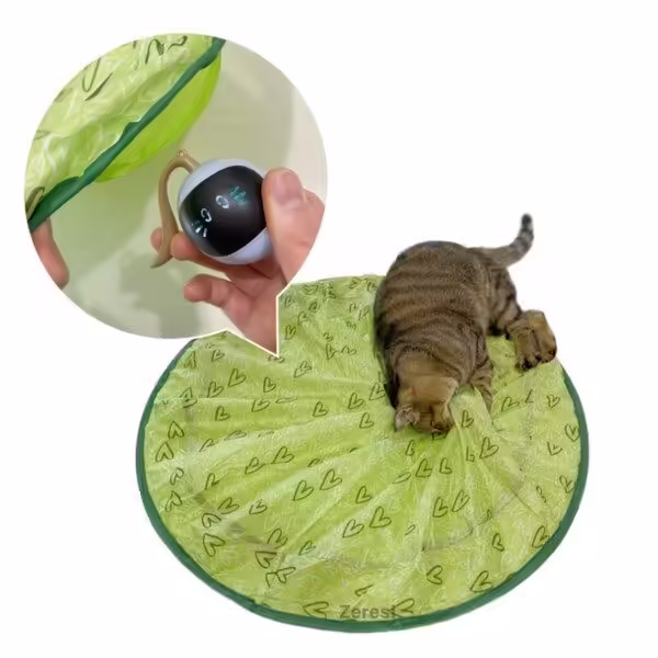 고양이자동장난감 초특가세일