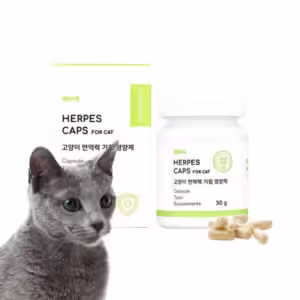 대박상품 고양이영양제 BEST 10