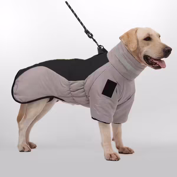 강아지패딩올인원 완전대박상품