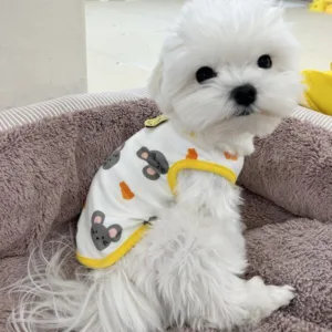 강아지내복 HOT 10