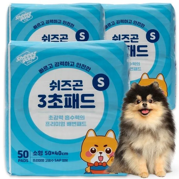 요요쉬소형 대박세일