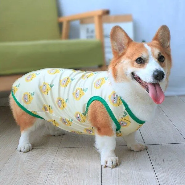 프렌치불독옷 특가 제품