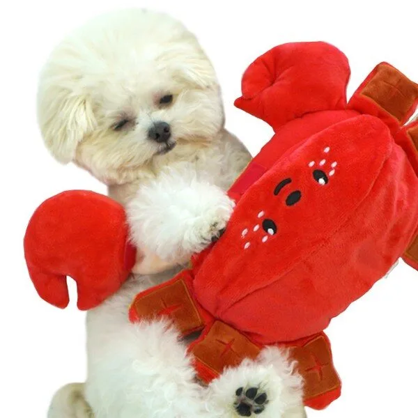 강아지움직이는장난감 대박난상품