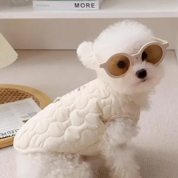 소문난 상품 애견패딩 BEST 10