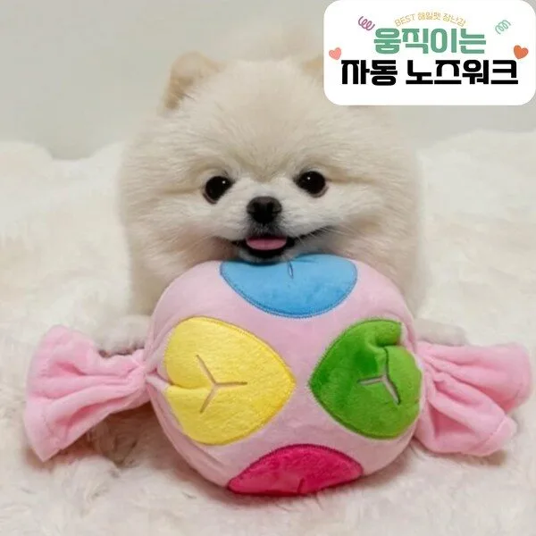 움직이는강아지장난감 특가아이템